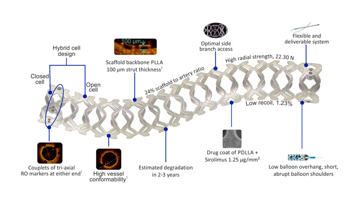 Meril's bioresorbable, drug-eluting vascular scaffold - Drug Delivery ...